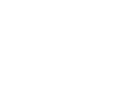Pioneer Fund