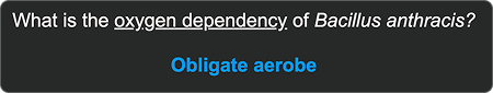 AnKing